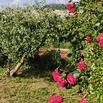 A Casa Di Alice *