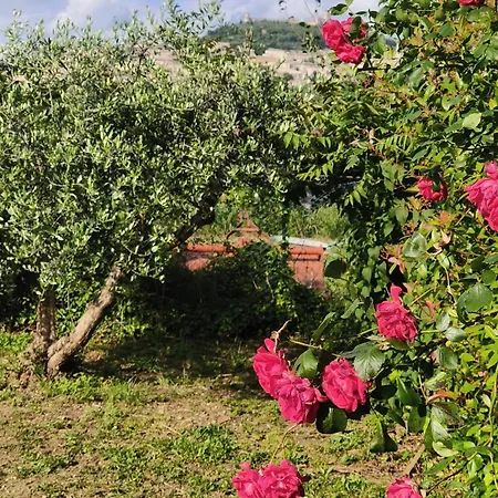 A Casa Di Alice Assisi *