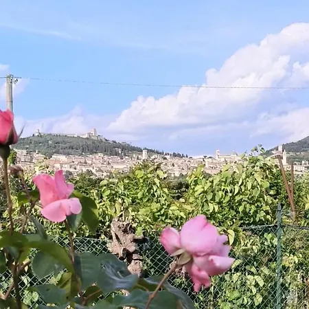 펜션 A Casa Di Alice Assisi 산타마리아데그리안젤리