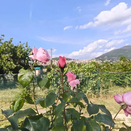 A Casa Di Alice Assisi