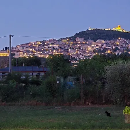 A Casa Di Alice Assisi Santa Maria Degli Angeli (Assisi)